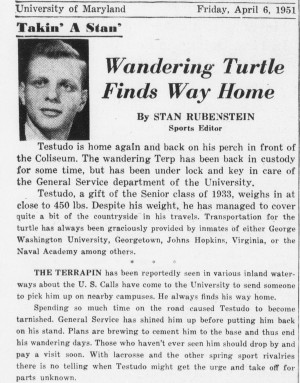 1951-04-06 - DBK - Wandering Turtle Finds Way Home
