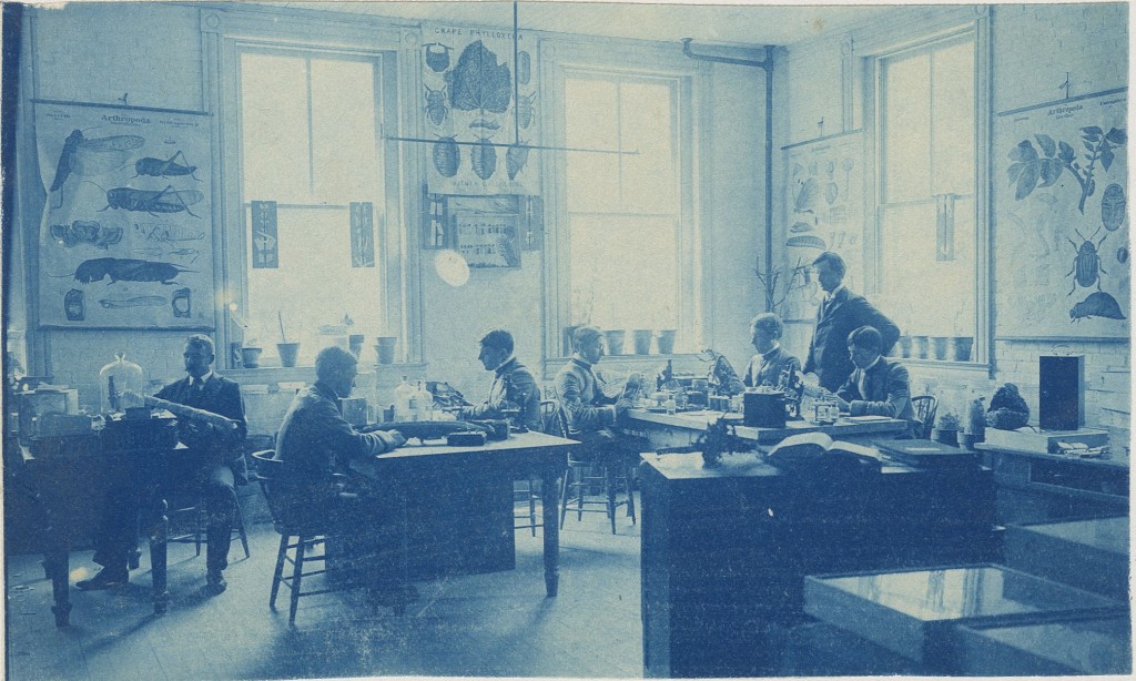 This is the same entomology lab as noted in other photographs. There are three wooden desks in the room, with six students divided between the three. They are all working with different materials. Some of them are holding large insect models, it is difficult to determine what the others are holding. The desks are covered in various materials, such as glass jars and bottles, books, and glass cloches. Professor Willis Johnson stands over the students and surveys the room. The walls are covered in diagrams of different bugs, particularly arthropods. There are three large windows with potted plants on the sills, and bright light is shining in. The third student from the left is T.B. Symons, and 
