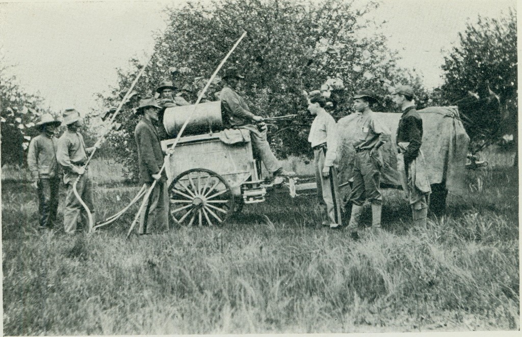 A group of men stand in front of a row of trees in an orchard in the tall grass. Most are dressed in their cadet uniforms, likely students, but a few are in work clothes and are likely the regular farm laborers. One man is on a buggy attached to two dark horses. Two of the men have hose-like contraptions that lead back to a canister on the buggy, and are spraying the tree with the contraption. 